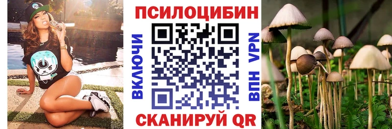 hydra онион  Краснокаменск  Псилоцибиновые грибы мухоморы 