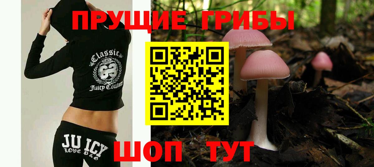 Псилоцибиновые грибы Psilocybine cubensis Краснокаменск